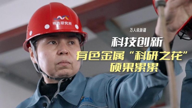 数据湖与数据仓库：核心差异深度解析